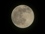 20091202moon.jpg