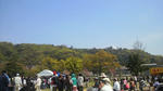 2010040411350000.jpg