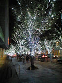 2007-11-17-2.jpg