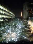 2007-11-17-3.jpg