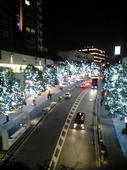 2007-11-17-4.jpg