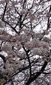 080324_01.jpg