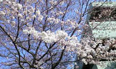 080325_01.jpg