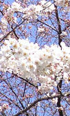 080325_02.jpg