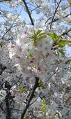 080405_2.jpg