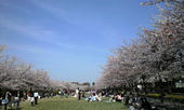 080405_4.jpg