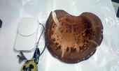 080417-01.jpg