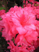2008-4-19-20.jpg