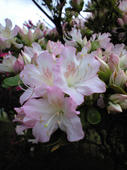 2008-4-19-28.jpg