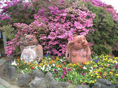 2008-4-19-30.jpg