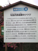 2008-4-19-32.jpg