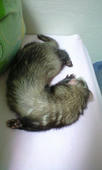 080507.jpg
