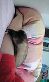 20080705_4.jpg