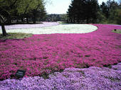 2009-4-29-3.jpg