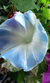 2009-7-21.jpg