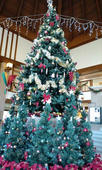 2009-11-15-3.jpg