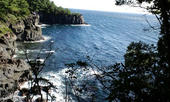 2009-11-15-6.jpg