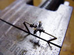 tar-002.jpg