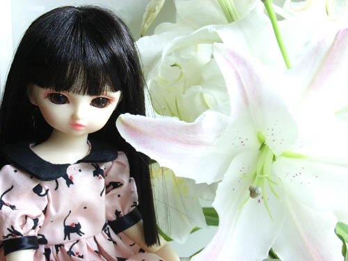 080430