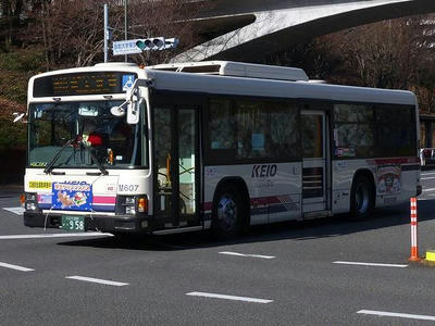 M20607