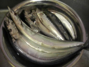 20071021.JPG