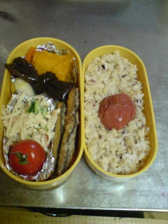 20071206.4.jpg