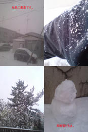 20080110.2.jpg