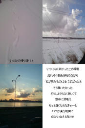20080127.jpg