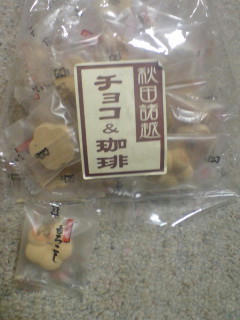20080221.3.jpg
