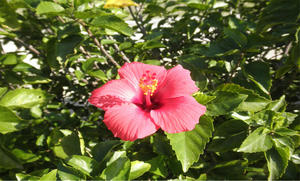 2010010601.jpg