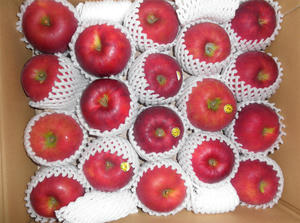 2011010401.jpg