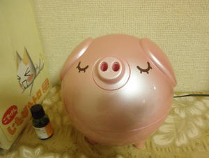 2011020301.jpg