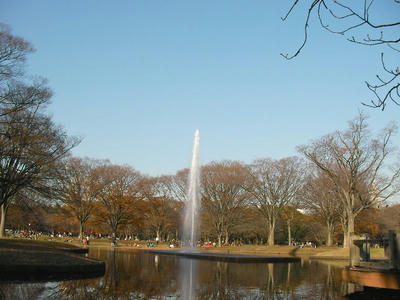 SANY0028_2.jpg