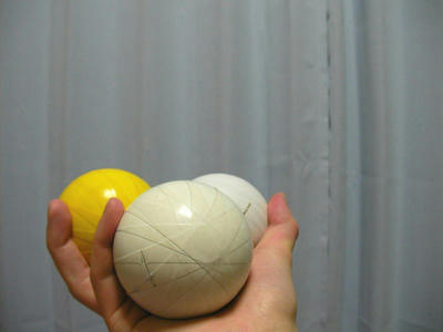 SANY0016_2.jpg