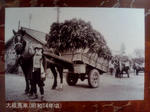 大根馬車