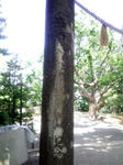 相馬神社　鳥居