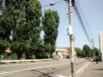 CA3I1242.jpg