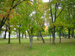 美香保公園