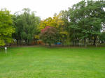 美香保公園　スキー山
