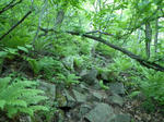 八剣山