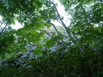 八剣山