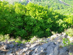 八剣山