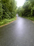 DVC00076.JPG