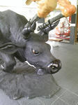 DVC00233.JPG