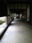 DVC00239.JPG