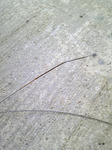 25b82283.JPG