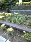 b9013a6d.JPG