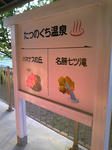 94d895e4.JPG