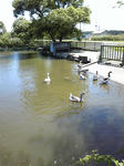 DVC00033.JPG