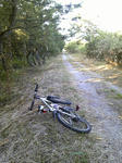 069408f2.JPG